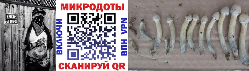 Галлюциногенные грибы прущие грибы  что такое   Зима 
