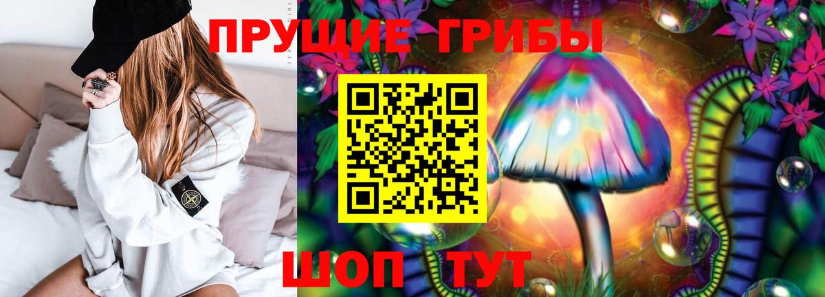 Галлюциногенные грибы Cubensis Зима